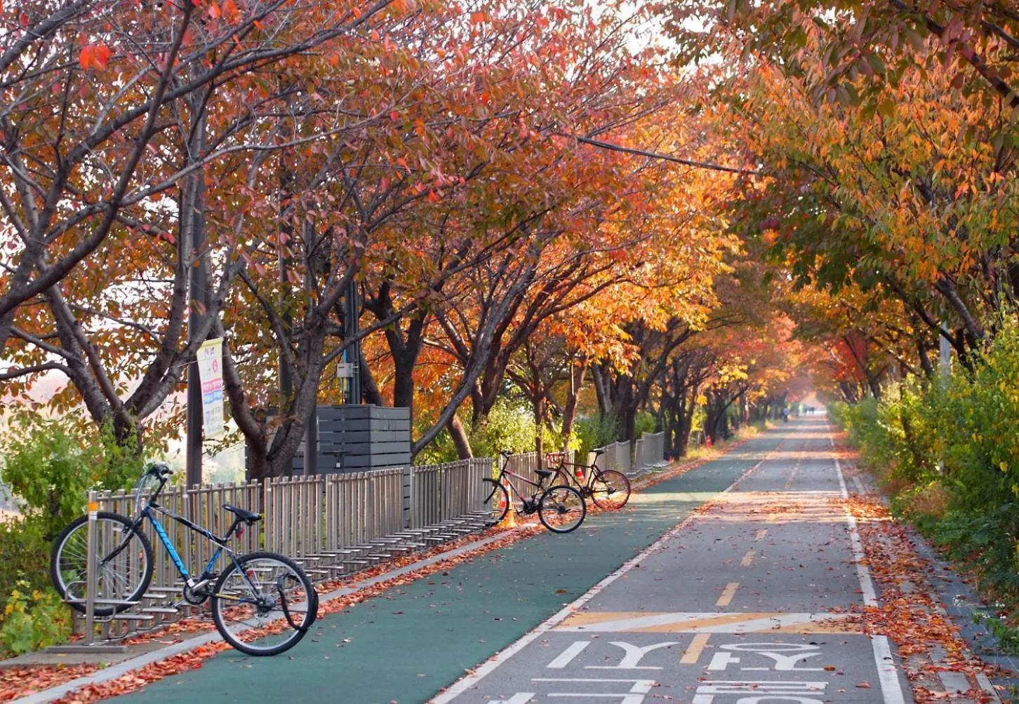 Jamstay In Seoul Nearby Jyp, Jamsil, Lotte World, Kspo Dome Lägenhet